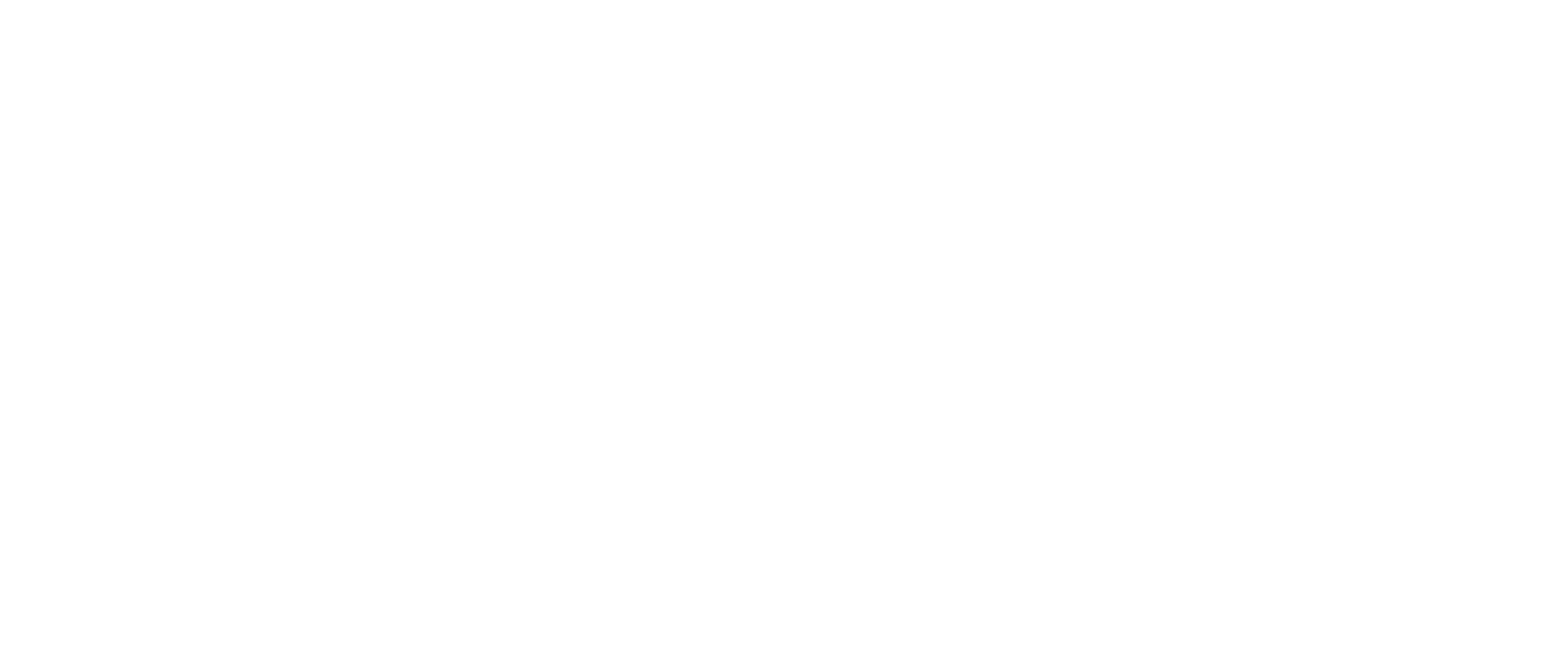 api section background