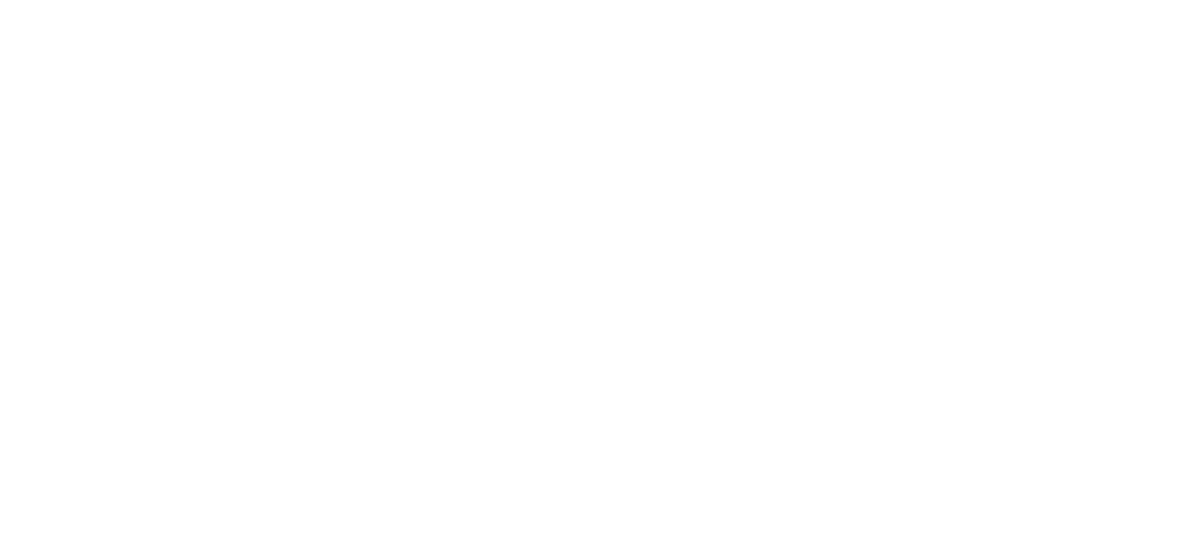 section dots background shape